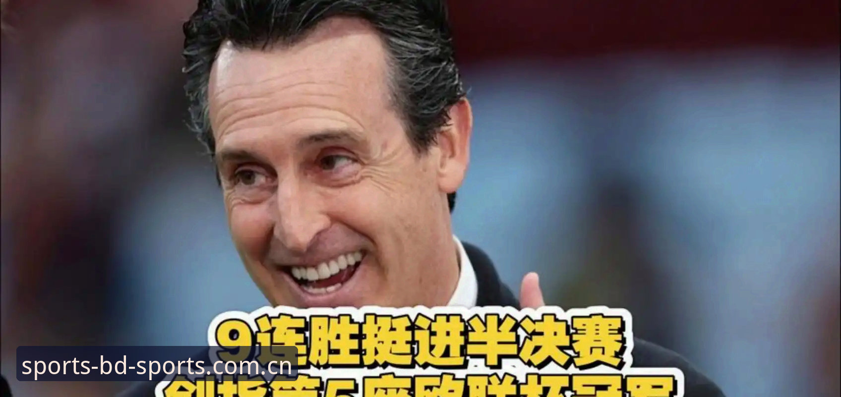 欧联杯决赛体验报告：埃梅里率维拉3-0完胜，半岛体育平台深度评测赛事盛宴