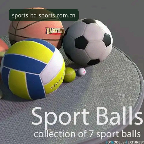 2025年BDSPORTS官网使用指南：从下载到安全充值的完整攻略