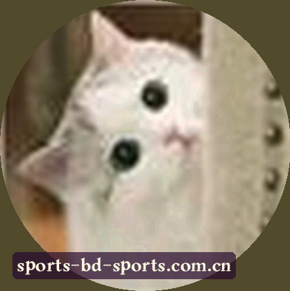 赵鹏